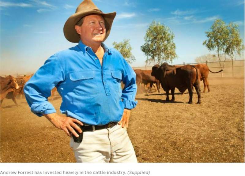 Andrew „Twiggy“ Forrest – Australiens Bill Gates