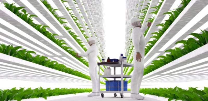 Nicht gewählte Eliten kontrollieren unsere Nahrungsquellen