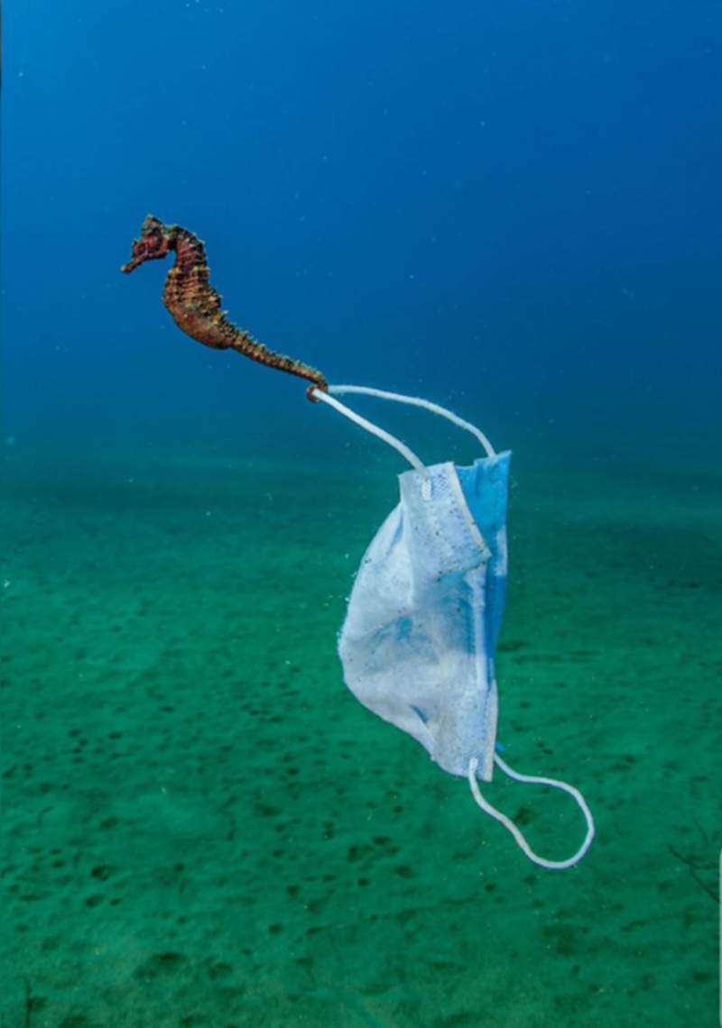 Der irdische Tribut von Covid-Abfällen