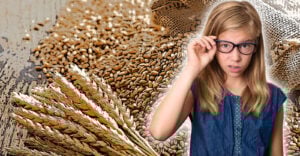 links eine Tüte Weizenkörner mit Garben und rechts ein Mädchen mit Brille