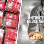 Hackfleisch und Arzt mit der Aufschrift „Antibiotikaresistenz“