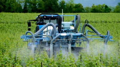 Danger from the environment: How we can protect ourselves from toxic pollution