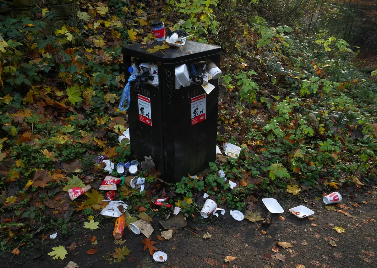 bin-4665444_1280