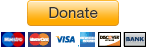 Przycisk darowizny z kartami kredytowymi