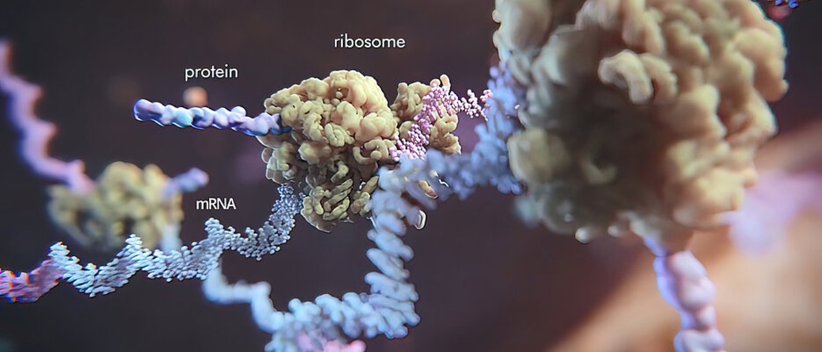 874. Verbot der mRNA-Impfung in den USA